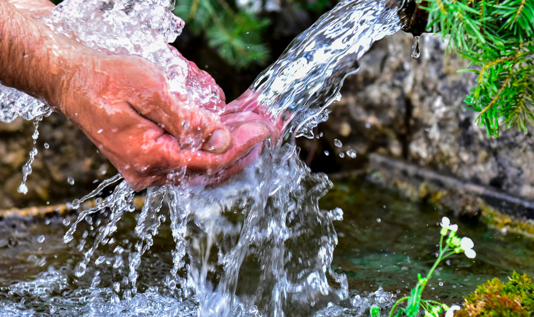 Ever wondered about the source of the crisp, clean water that fills every bottle of Stay Below Zero? Join us on a virtual journey as we peel back the label and take you to the pristine natural springs that lay the foundation for our commitment to quality.